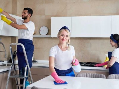 professional domestic cleaning company