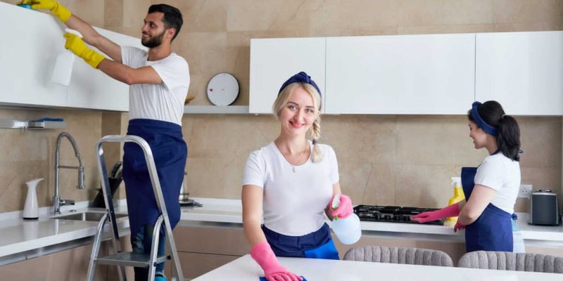 professional domestic cleaning company